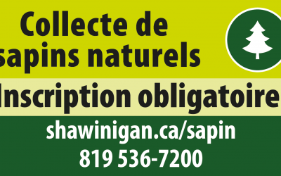 Sapins : inscription obligatoire pour la collecte