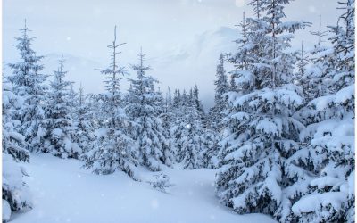 Près de 25 cm au cours des prochaines 48 heures