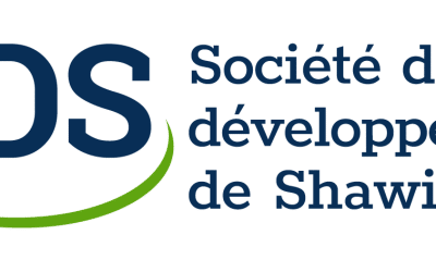 Rapport annuel 2020 de la Société de développement de Shawinigan