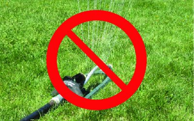 Arrosage : Interdiction d’arroser la pelouse avec de l’eau potable
