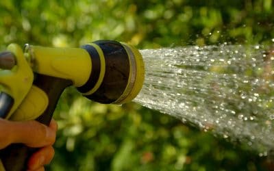 Reprise de l’émission de permis d’arrosage; maintien de l’interdiction