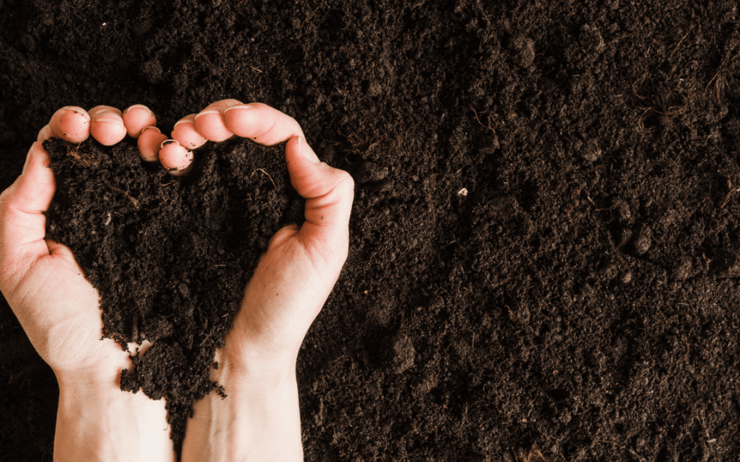 Distribution de compost aux citoyens