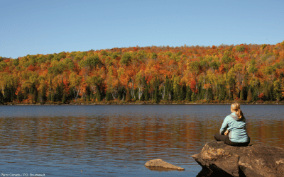 Activités pour l’automne : inscriptions en ligne dès le 15 septembre