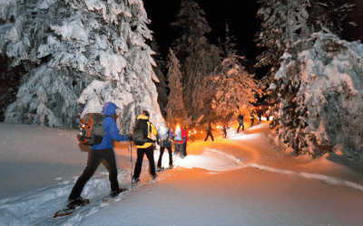 Cet hiver, participez à l’une des prochaines Découvertes plein air!