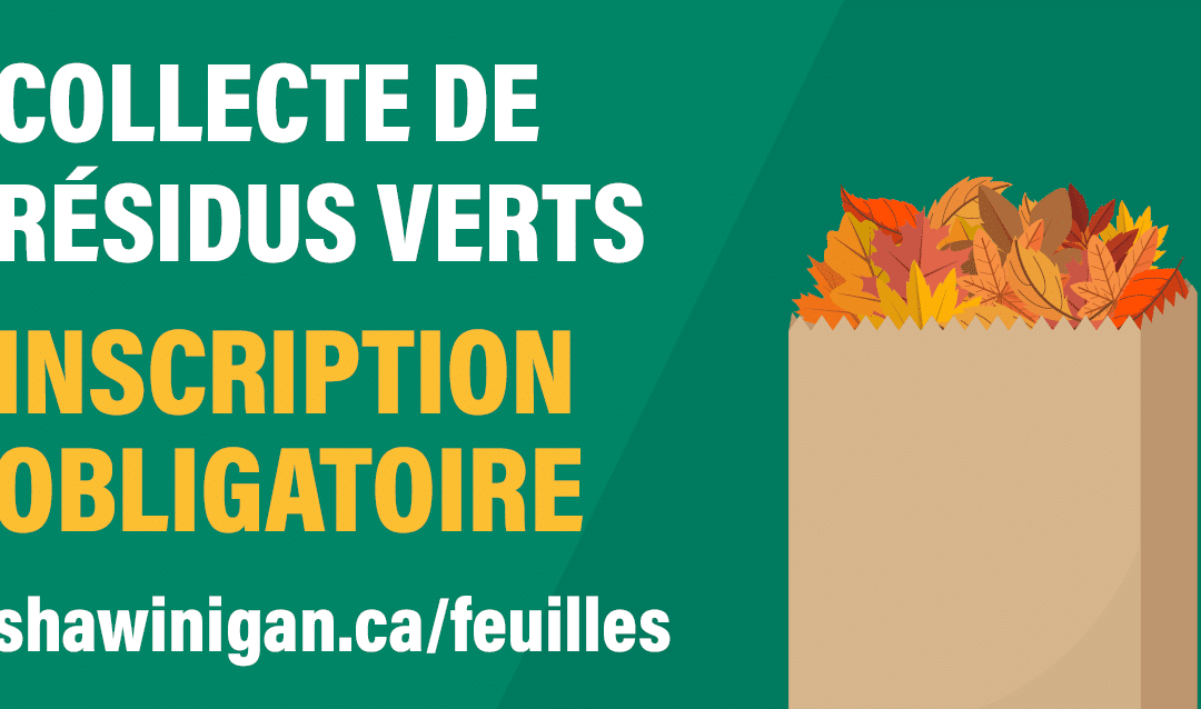 Collecte spéciale de feuilles mortes et de résidus verts : inscription et sacs en papier obligatoires