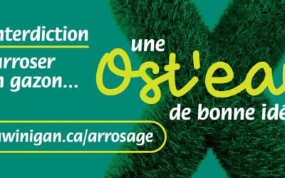 Interdiction d’arroser le gazon avec de l’eau potable : une ost’eau de bonne idée!