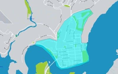 La Ville identifiera les arbres à risque au centre-ville