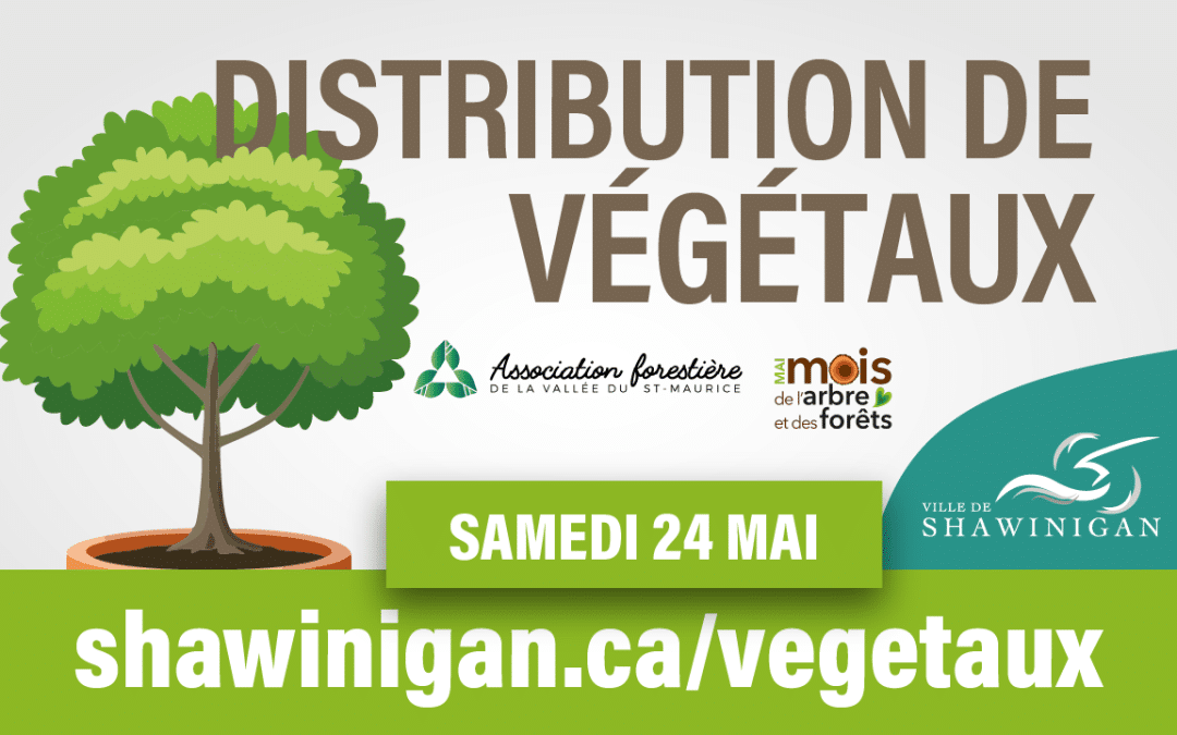 Distribution de végétaux le samedi 24 mai