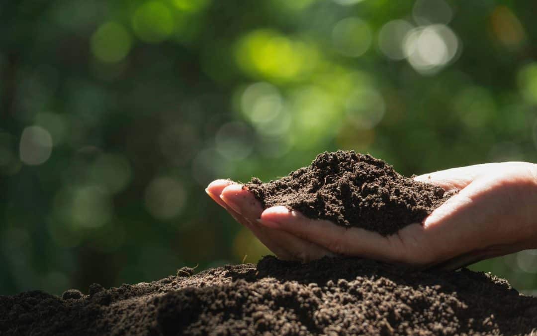 Vendredi 9 mai dès 10h : distribution de compost aux citoyens