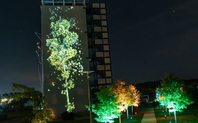 Invitation à la population : première représentation de la projection sur la tour du parc des Papetiers