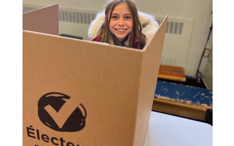 251102_Electrice_en_herbe