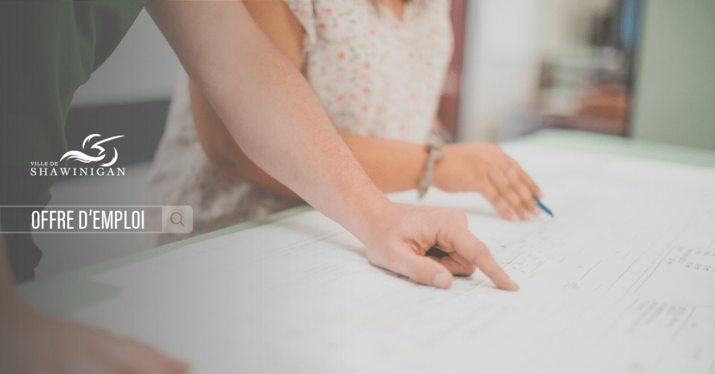 Offre d'emploi : Ingénieure ou ingénieur en modélisation hydraulique