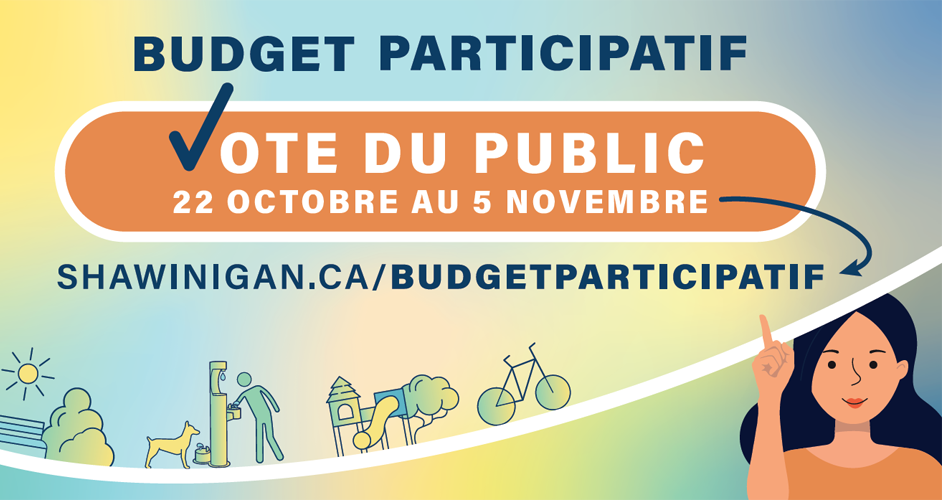 Budget_participatif_vote800x500